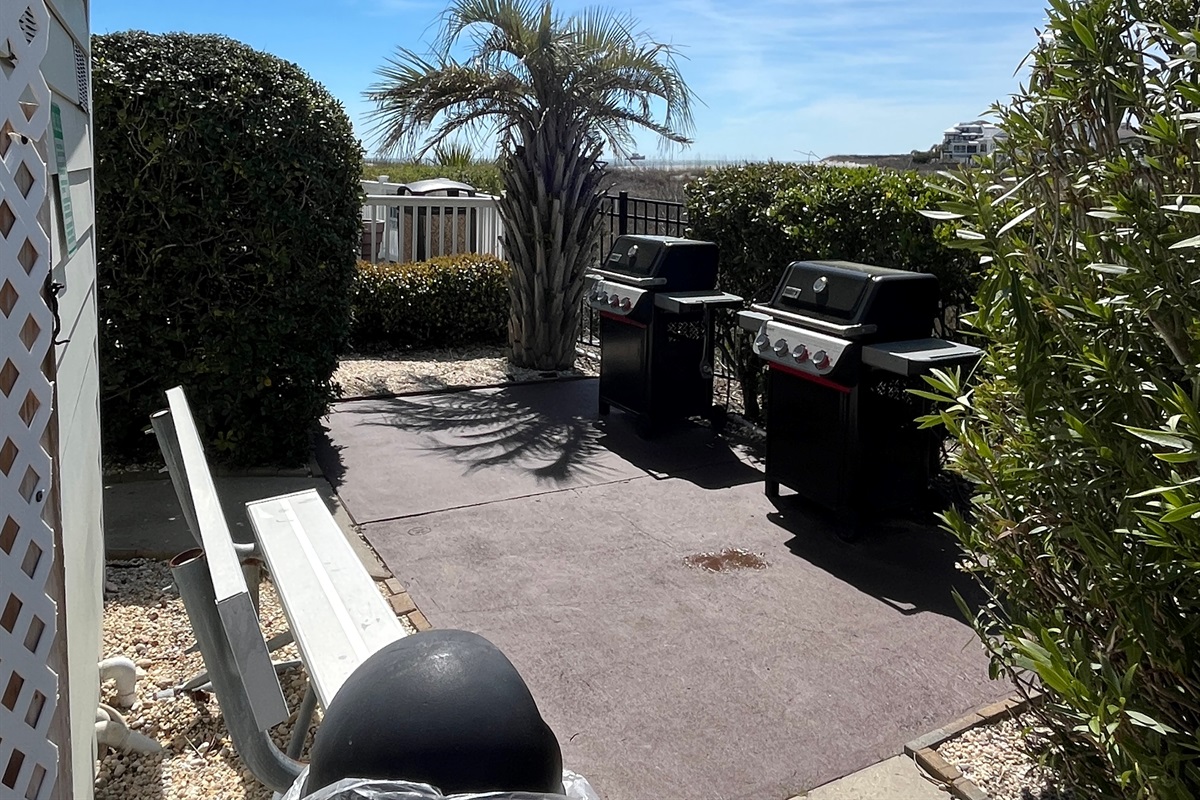 Grilling Area with Propane Grills