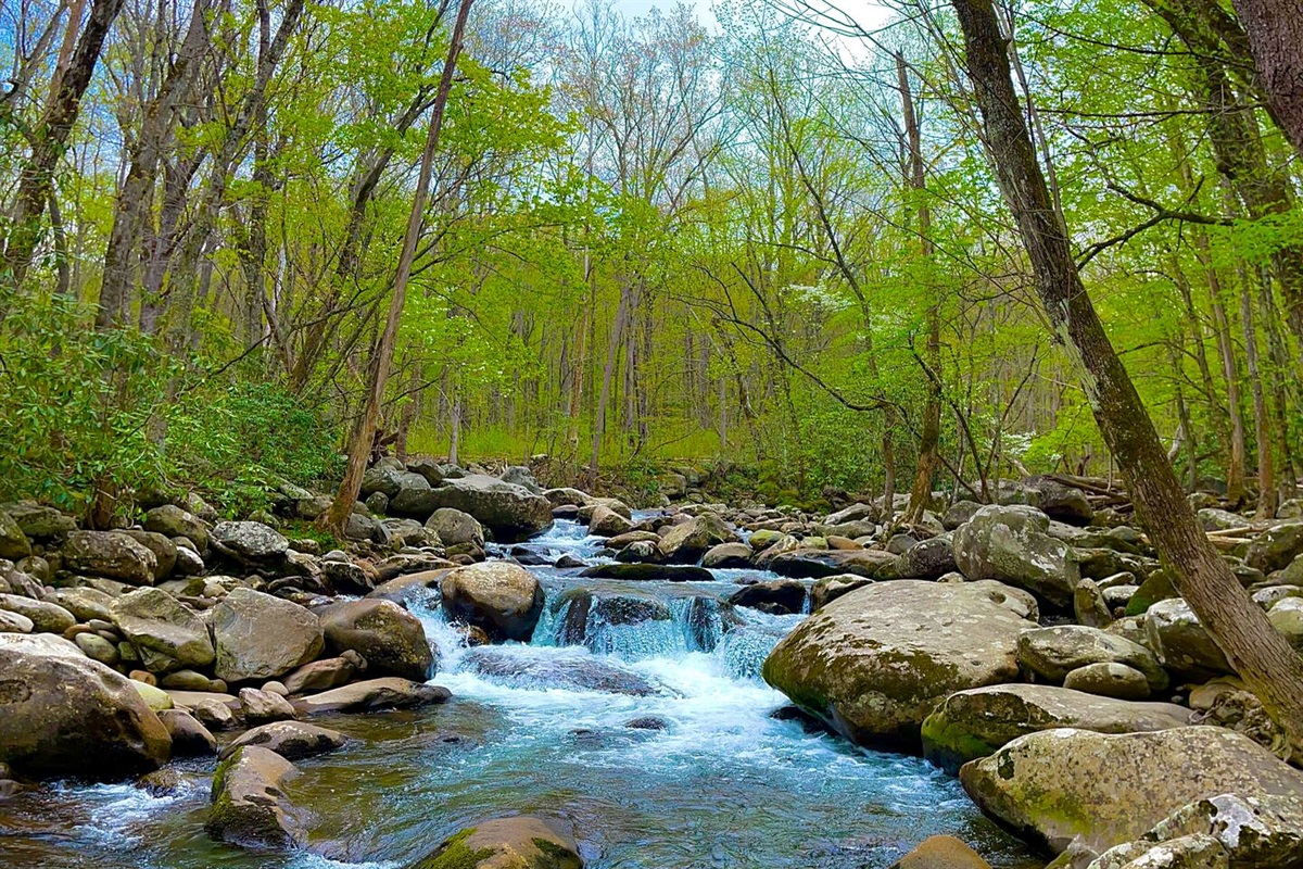 Take a hike on almost any of the hundreds of walking paths around the Smoky Mountains and you're almost certain to run into a stream like this at some point.