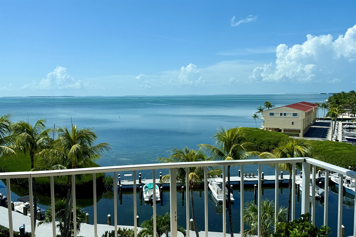View from Balcony