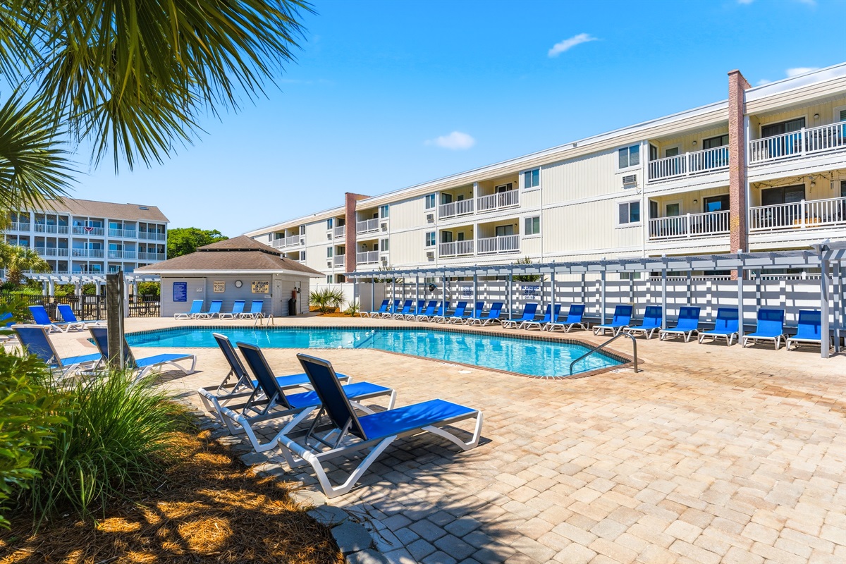 Lovely Outdoor pool and sun bathing area