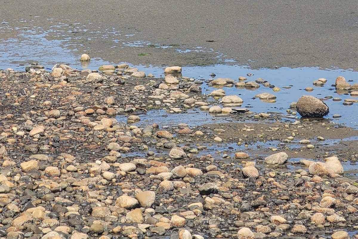 The Beach behind the Resort. Private pathway to beach.
