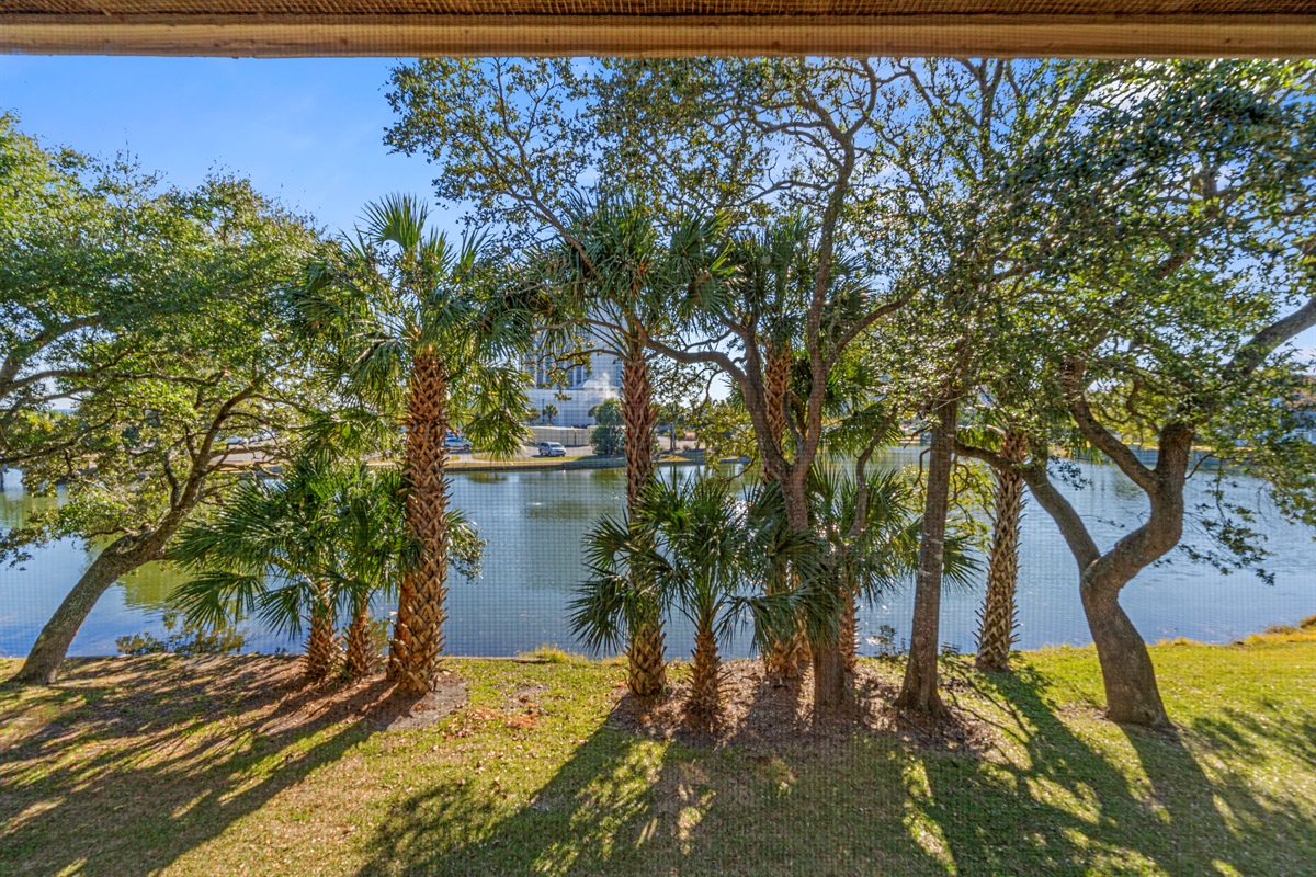 Screened in back deck