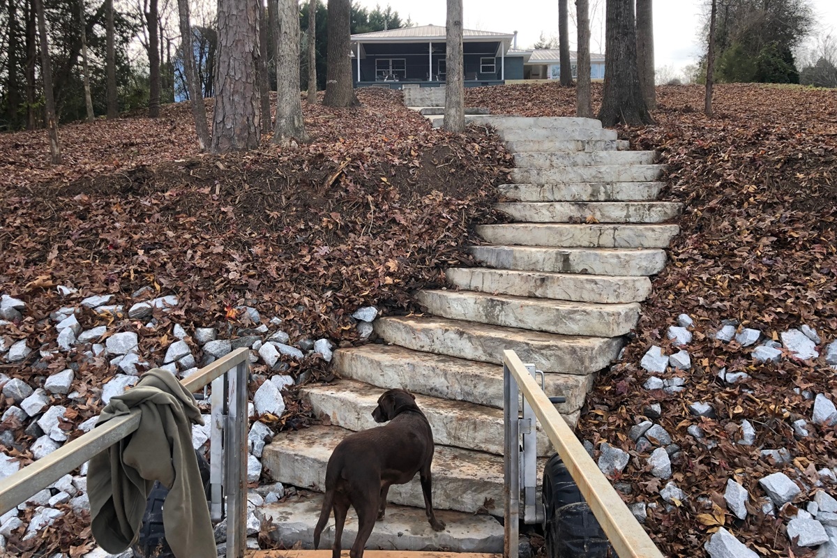 Steps from the lake to the house