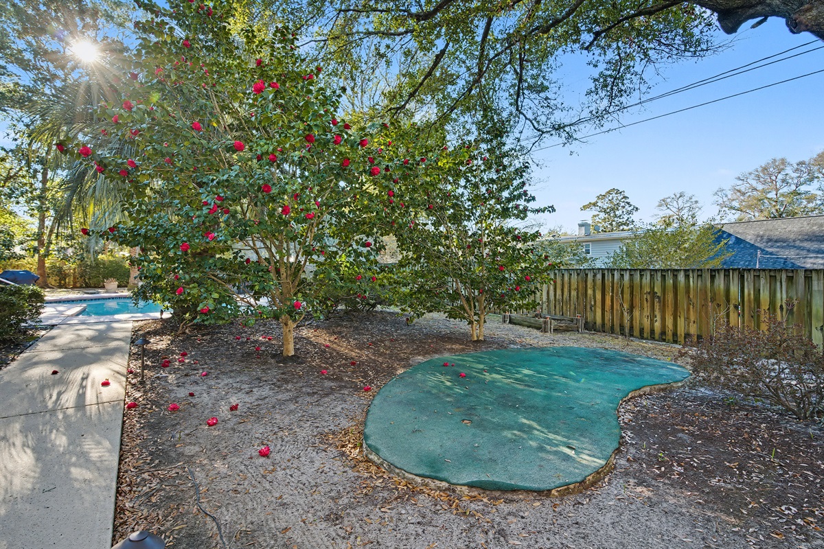 Putting Green for some fun!