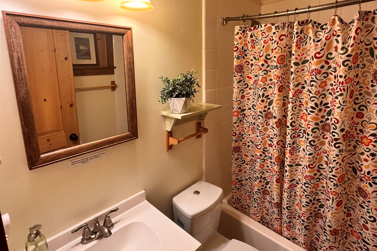 Full bath on lower level