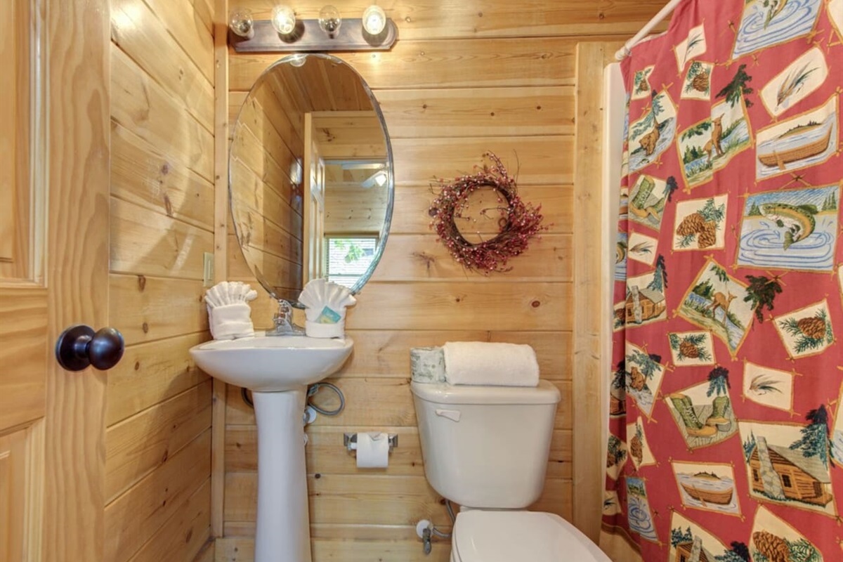 Lower Level bathroom