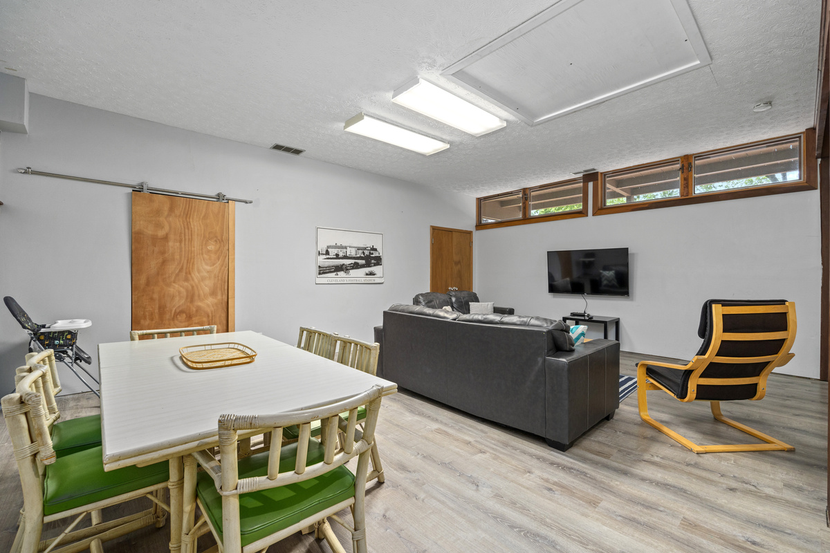 Lower Family Room