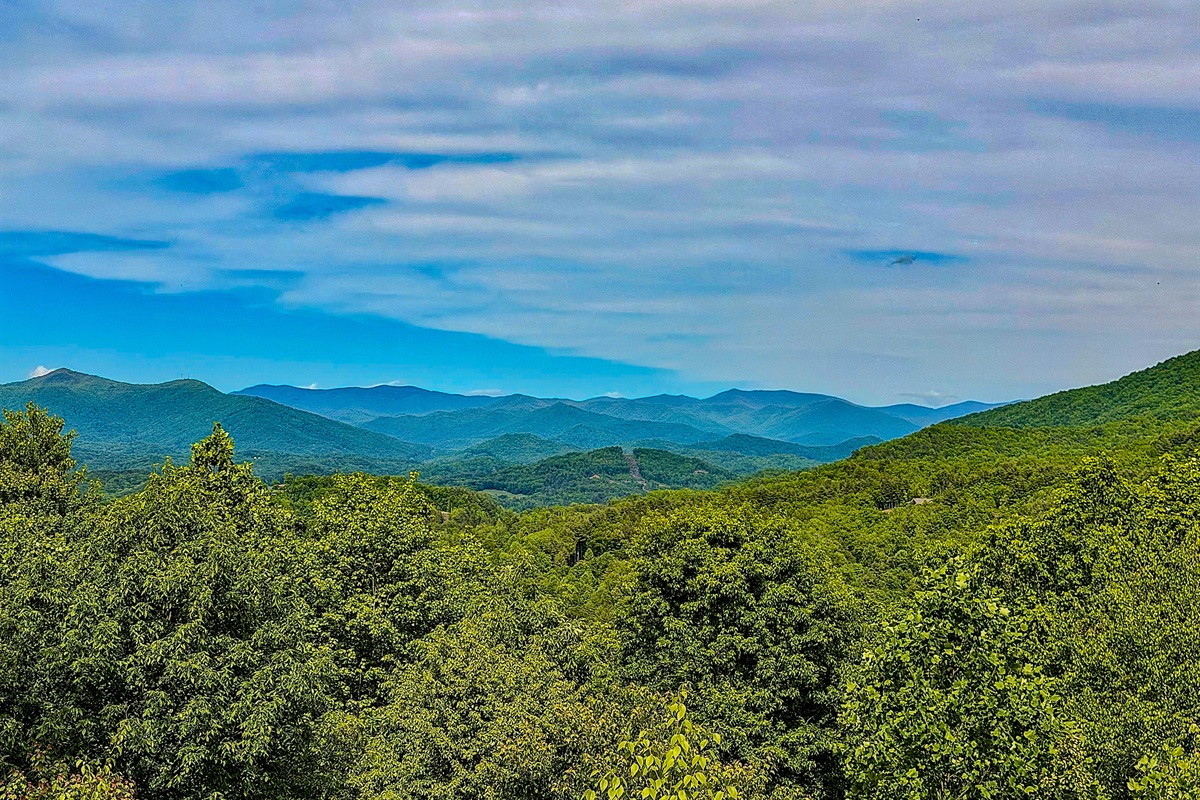 Smoky Mountain life!