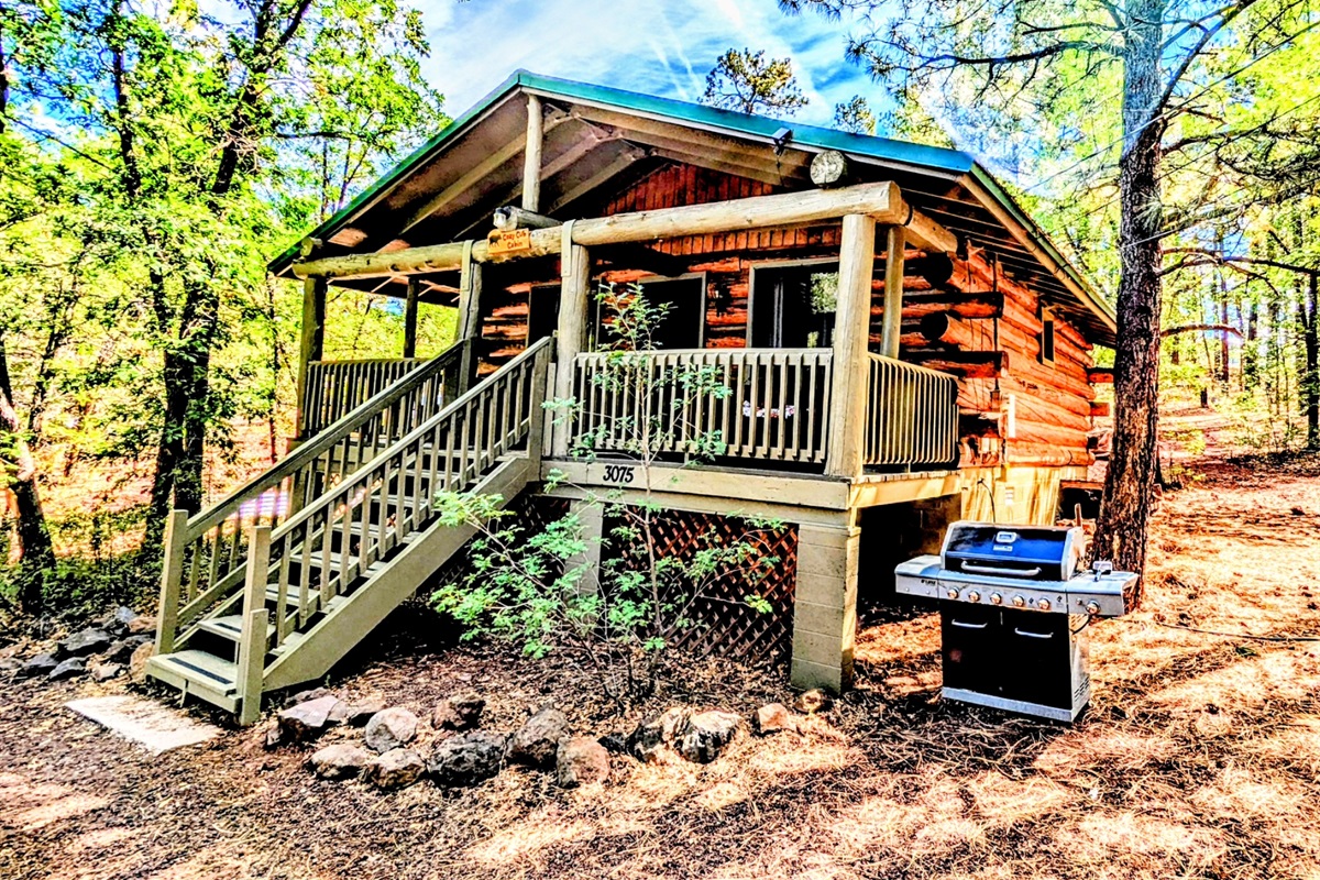 Front view of the Cozy Cub Log Cabin with tall pines.