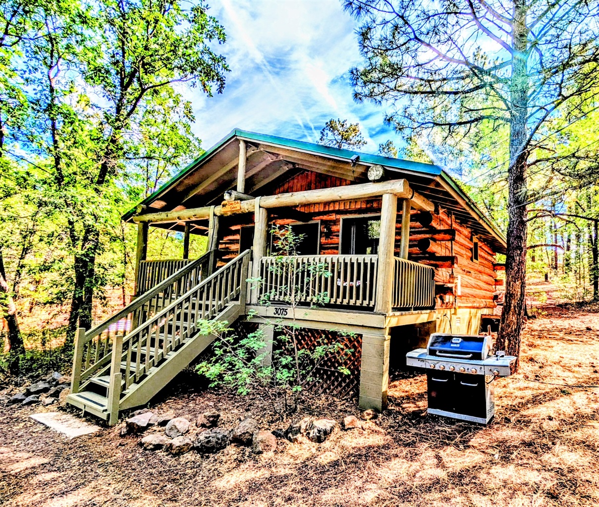 Front view of the Cozy Cub Log Cabin with tall pines.