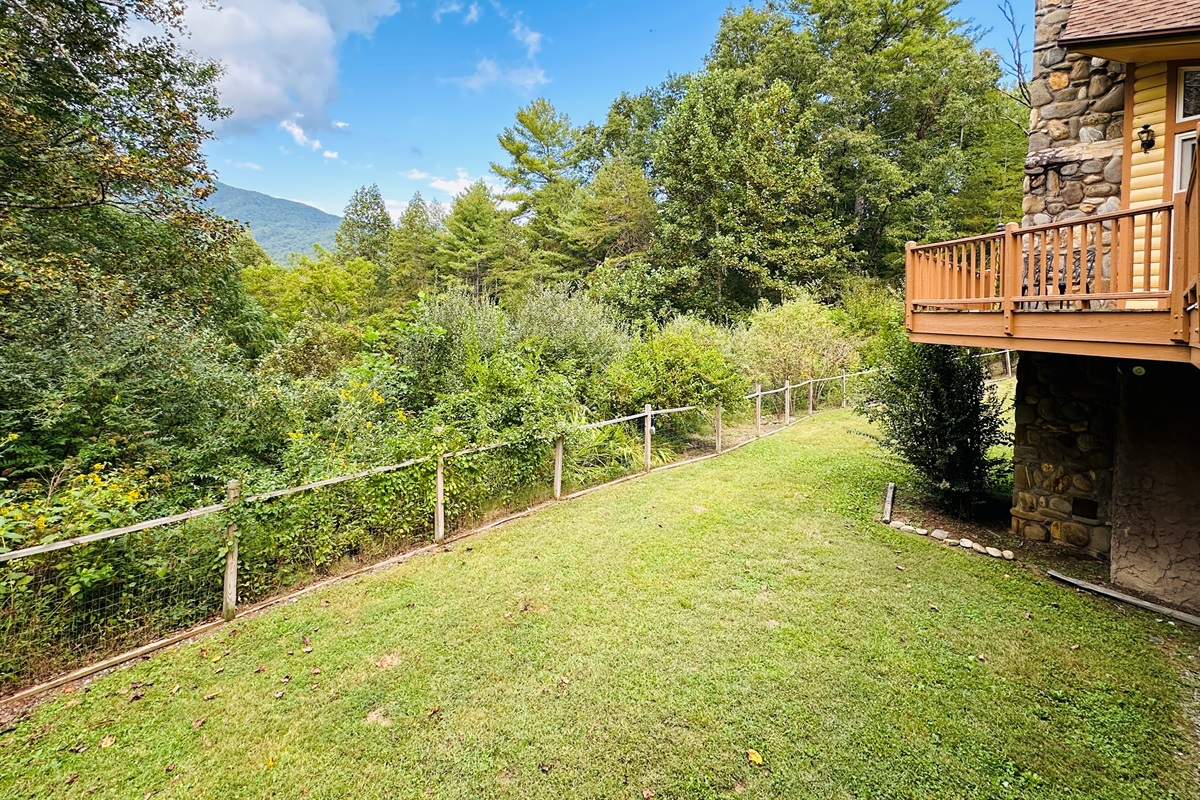 Fenced in back yard for your pups to romp and play