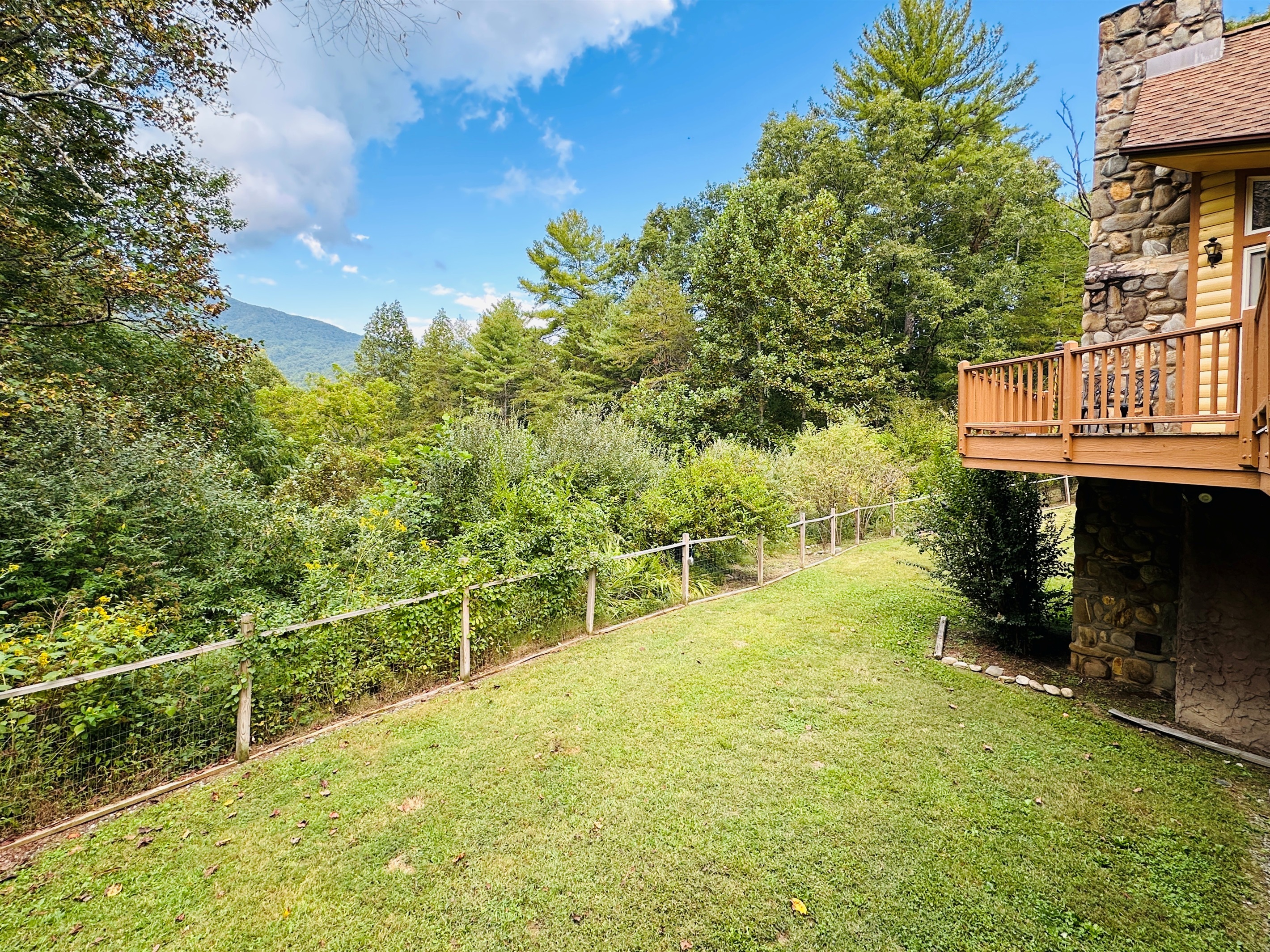 Fenced in back yard for your pups to romp and play