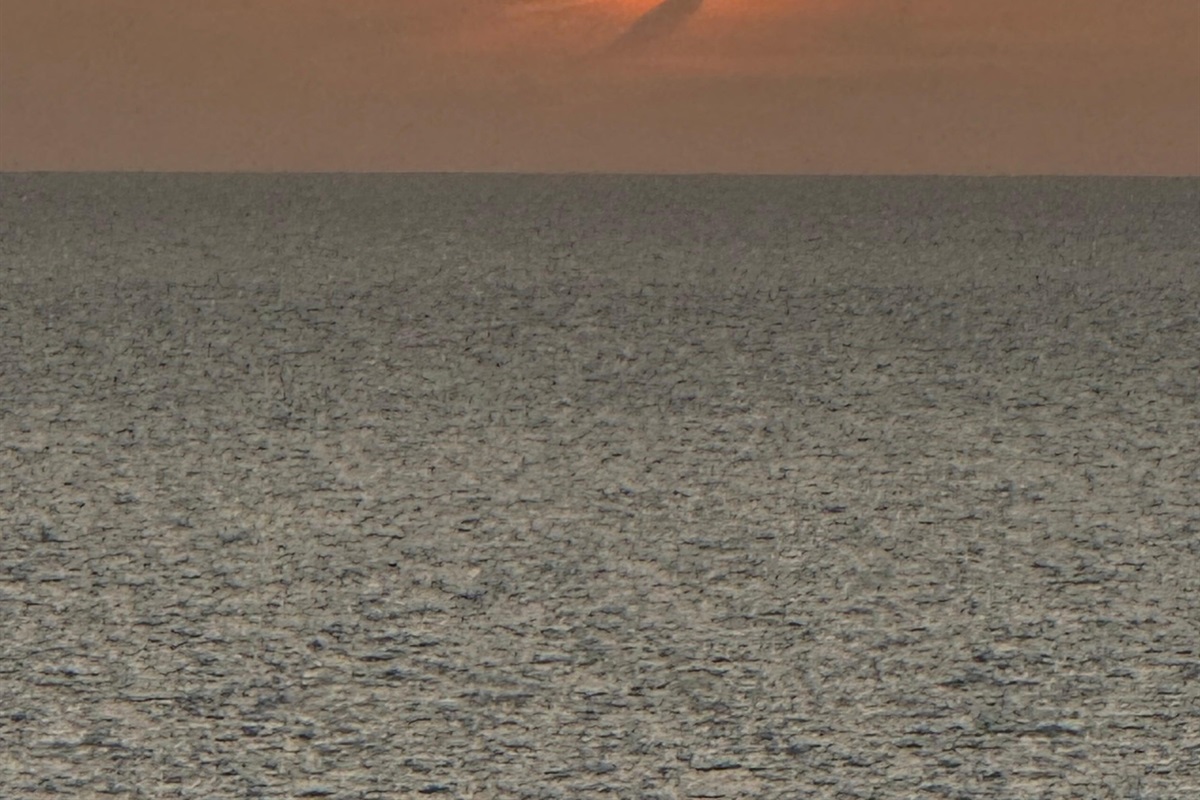 Susan V., Jun 10, 2025