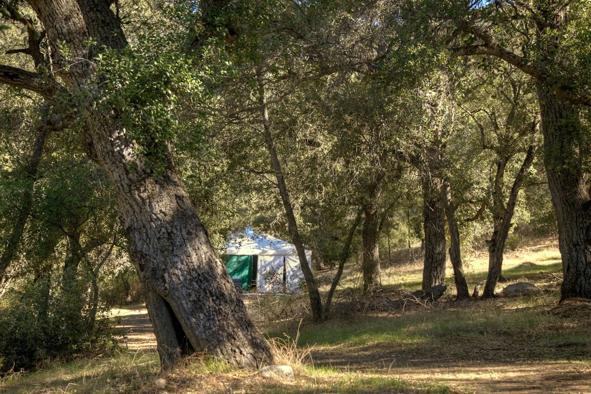 Green room - 20x20 event tent
