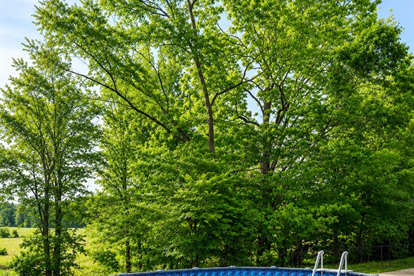 A refreshing new addition to your stay - our private swimming pool is now ready for you to unwind, relax, and enjoy sunny days.