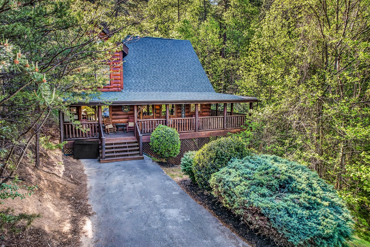 Hooray, you've arrived!