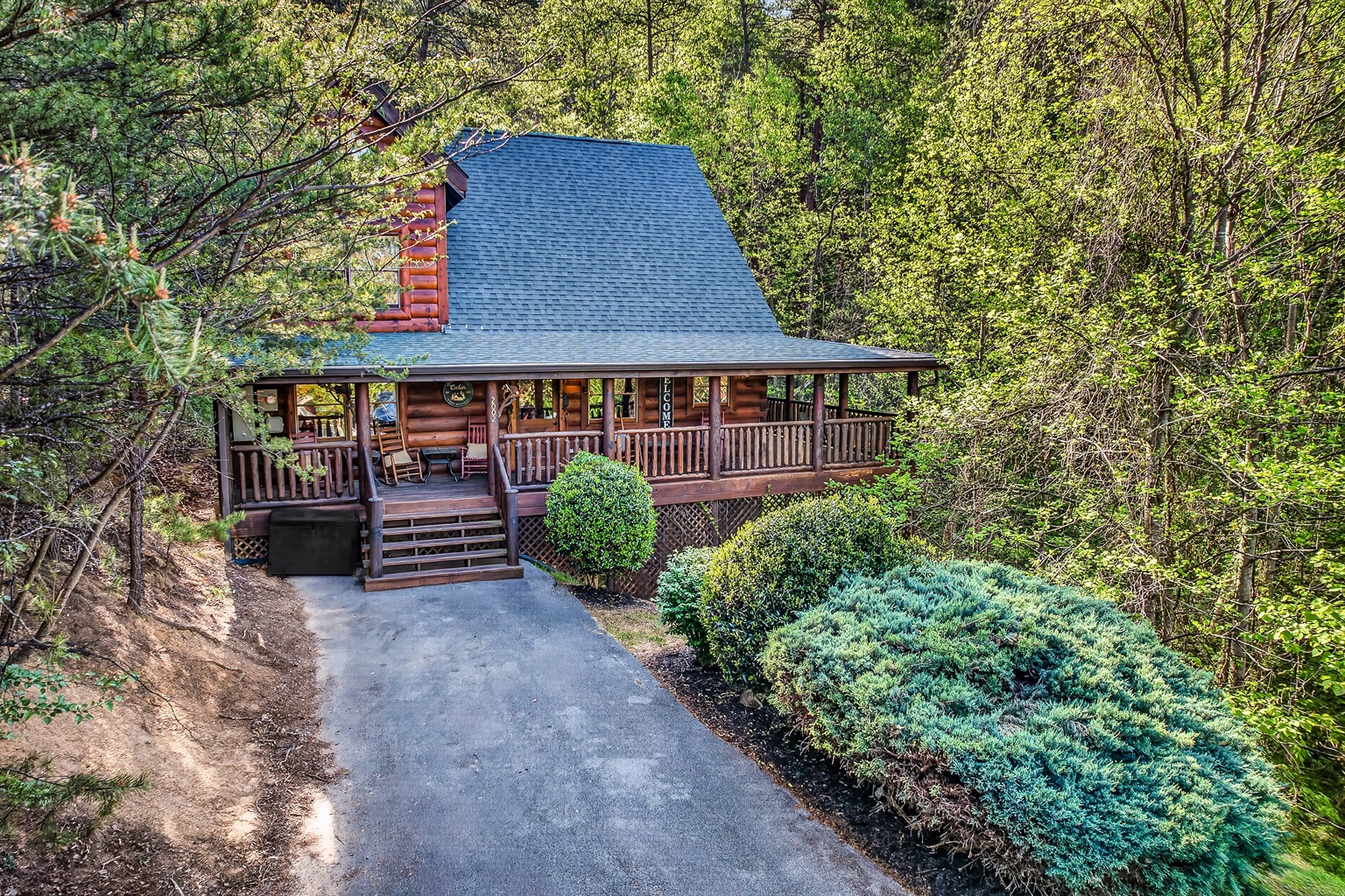 Hooray, you've arrived!