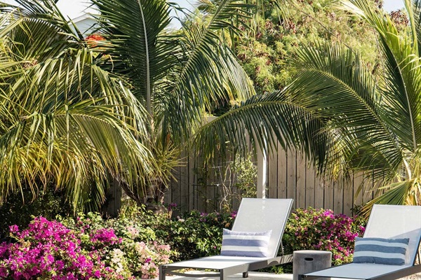 Beautiful landscaping