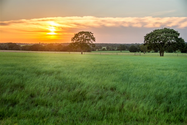 Beautiful sunsets and fields.