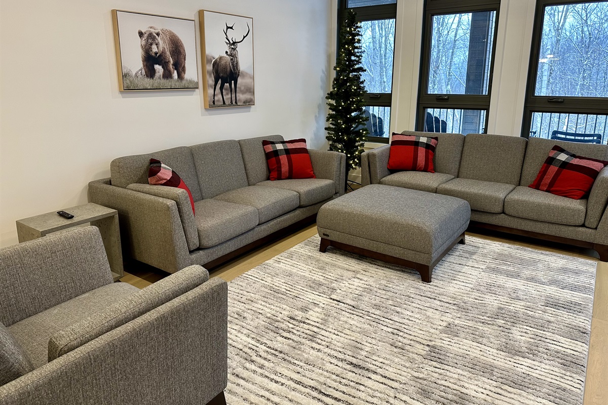 Living area with plenty of couch space