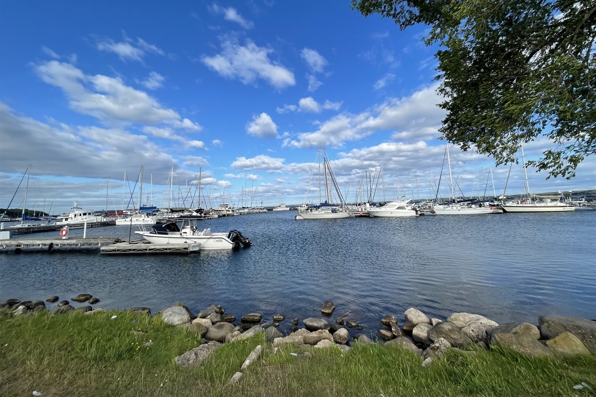 Bayfield Marina in the summer
