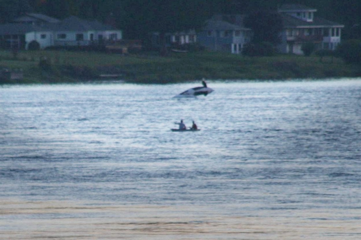 Whale sightings aren’t guaranteed, but when orcas appear, it’s truly magical (photo by neighbor Allen & Megan)