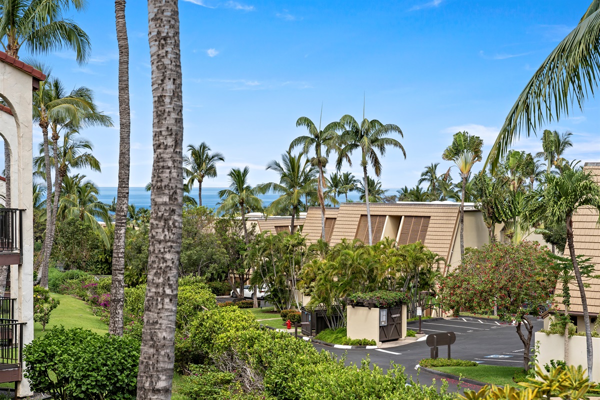 Beautiful lush gardens all around