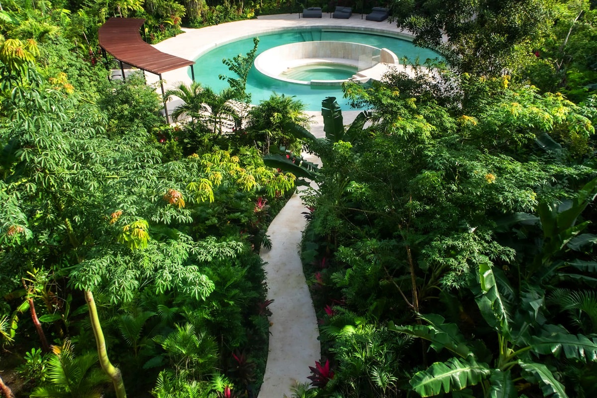 Your view of the lush community 