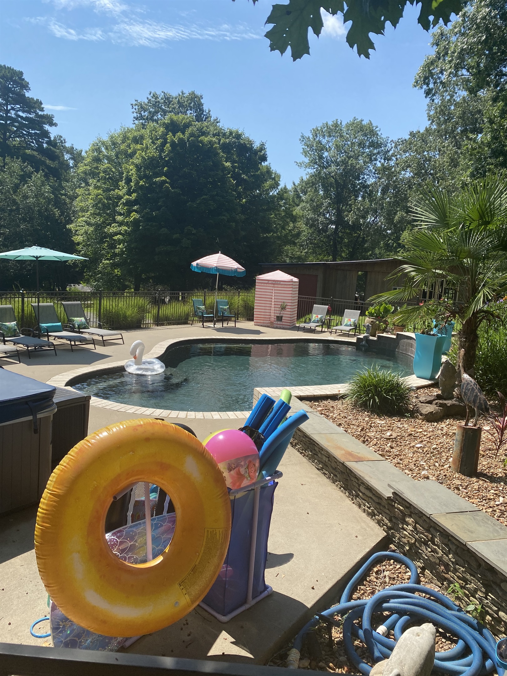 Floaties and pool toys provided