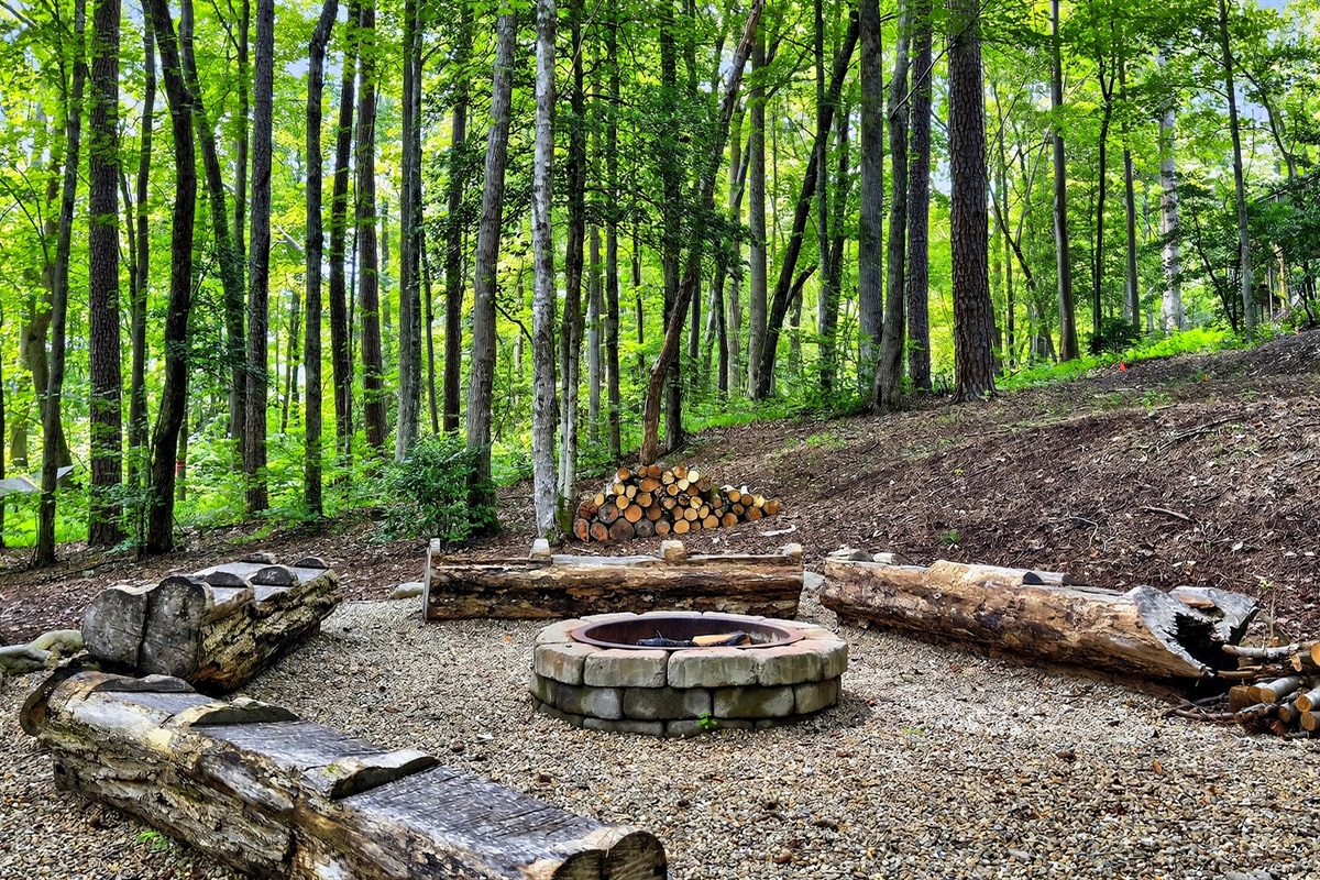 Additional view of firepit.