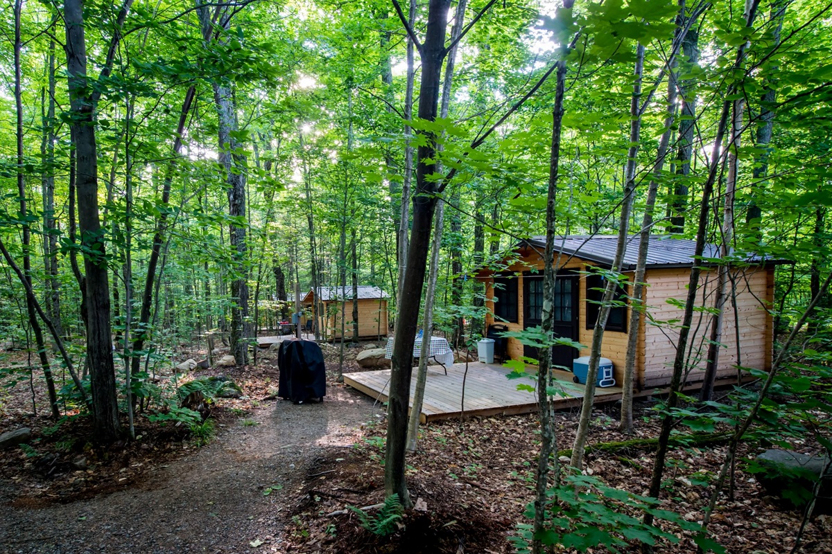 Cabins in the woods