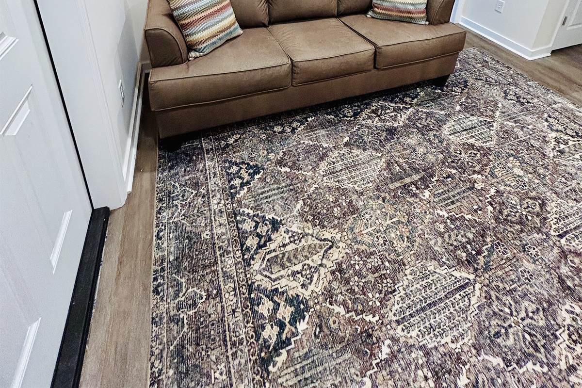 A couch with a pull-out sleeper in the foyer