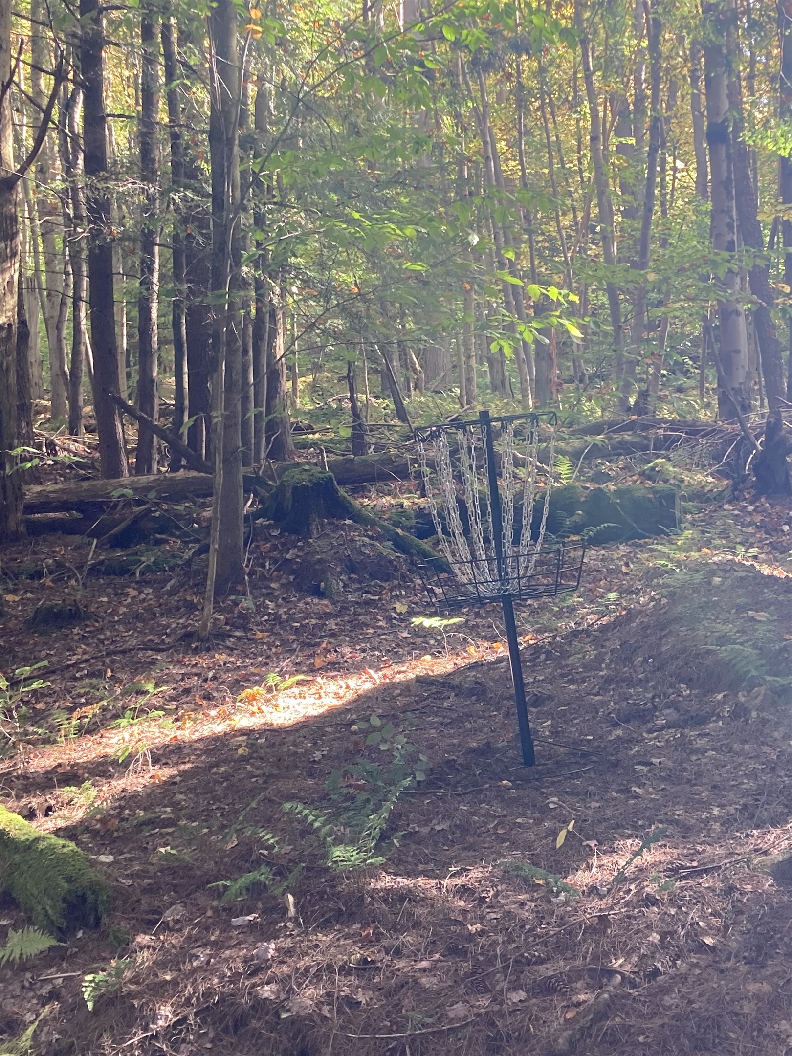 9 hole Disc Golf Course in the woods