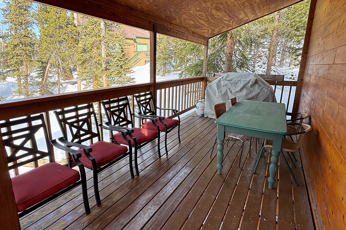 North side of huge wrap-around deck has propane grill and outdoor seating.