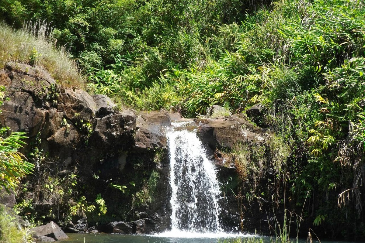 A sunny day at the waterfall and swimming hole, right in front of the house, very accessible.