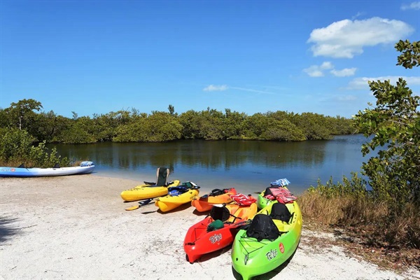 Robinson Preserve Kayaking the Mangroves