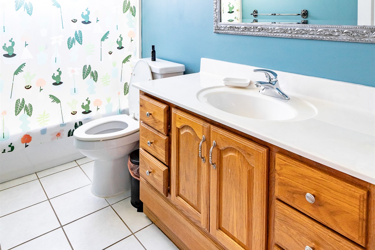 Hallway Bathroom w/ tub/shower combo