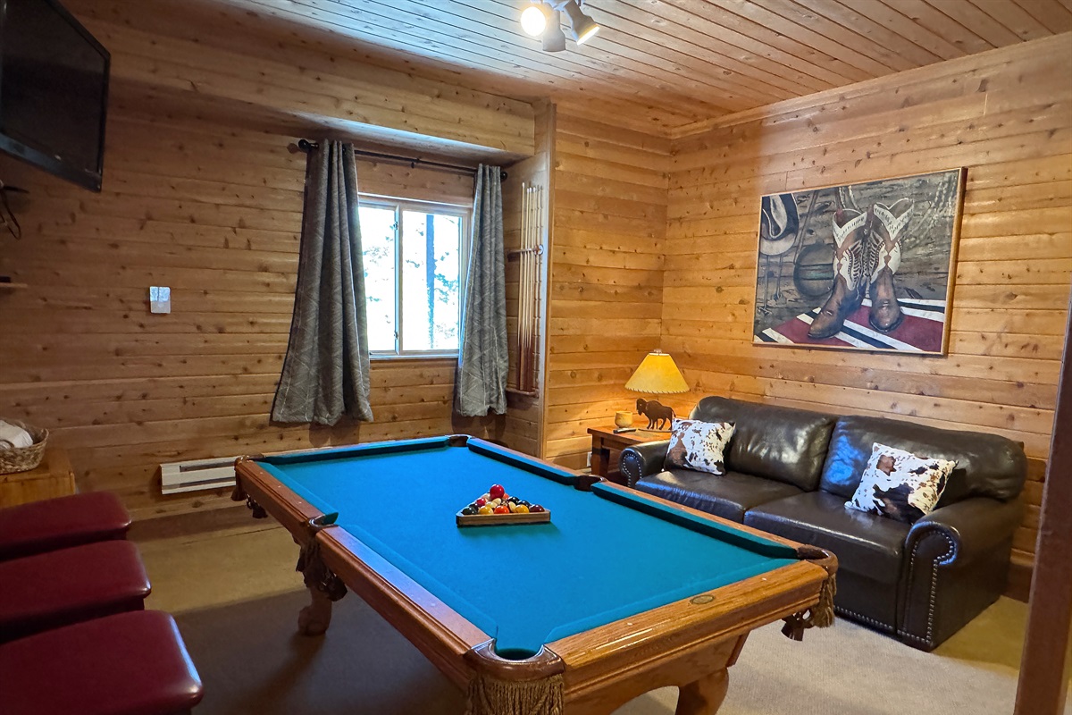 Pool room with sleeper sofa and tv