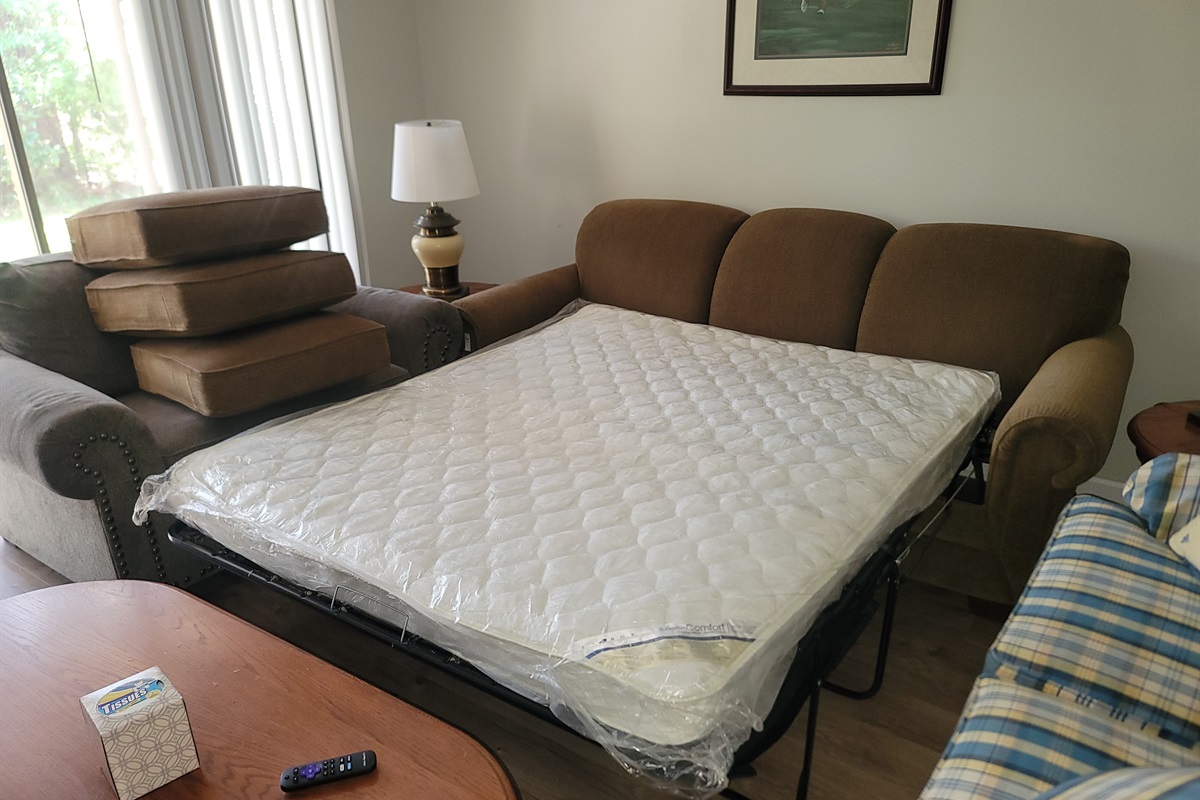 Sleeper Sofa