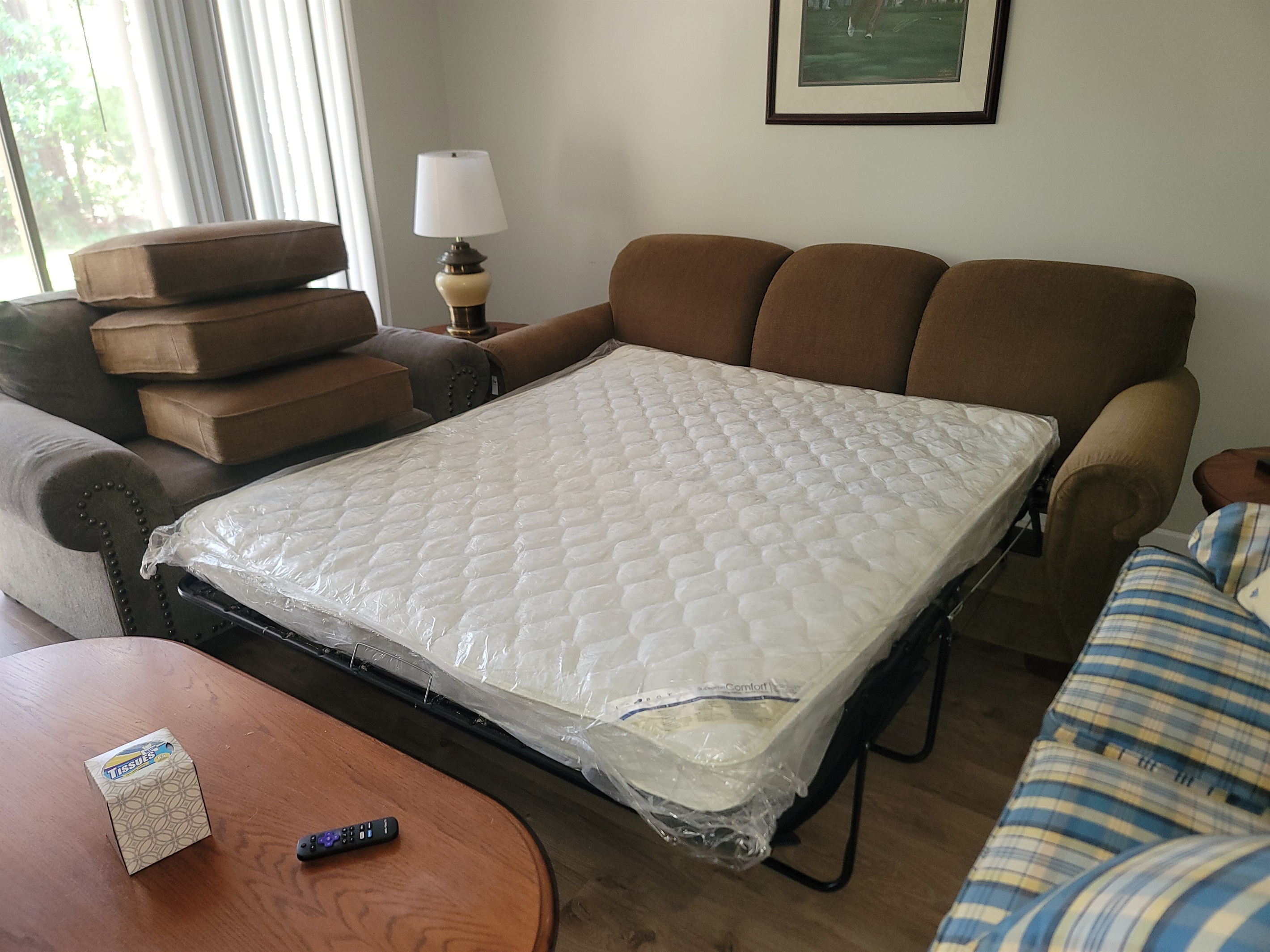 Sleeper Sofa