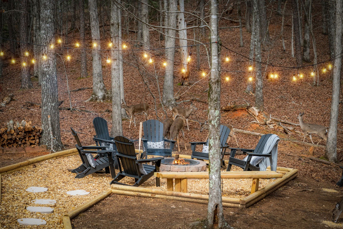 Relax, unwind, and toast marshmallows at the cabin’s outdoor firepit 🔥🍫