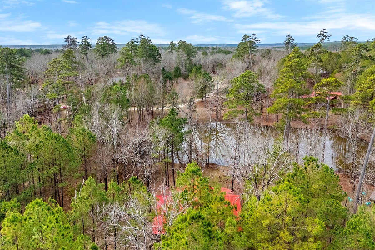Exterior Retreat:
A woodland haven that whispers “stay a little longer.” Rustic elegance meets nature’s majesty, perfect for unplugging without sacrificing comfort. 🌲