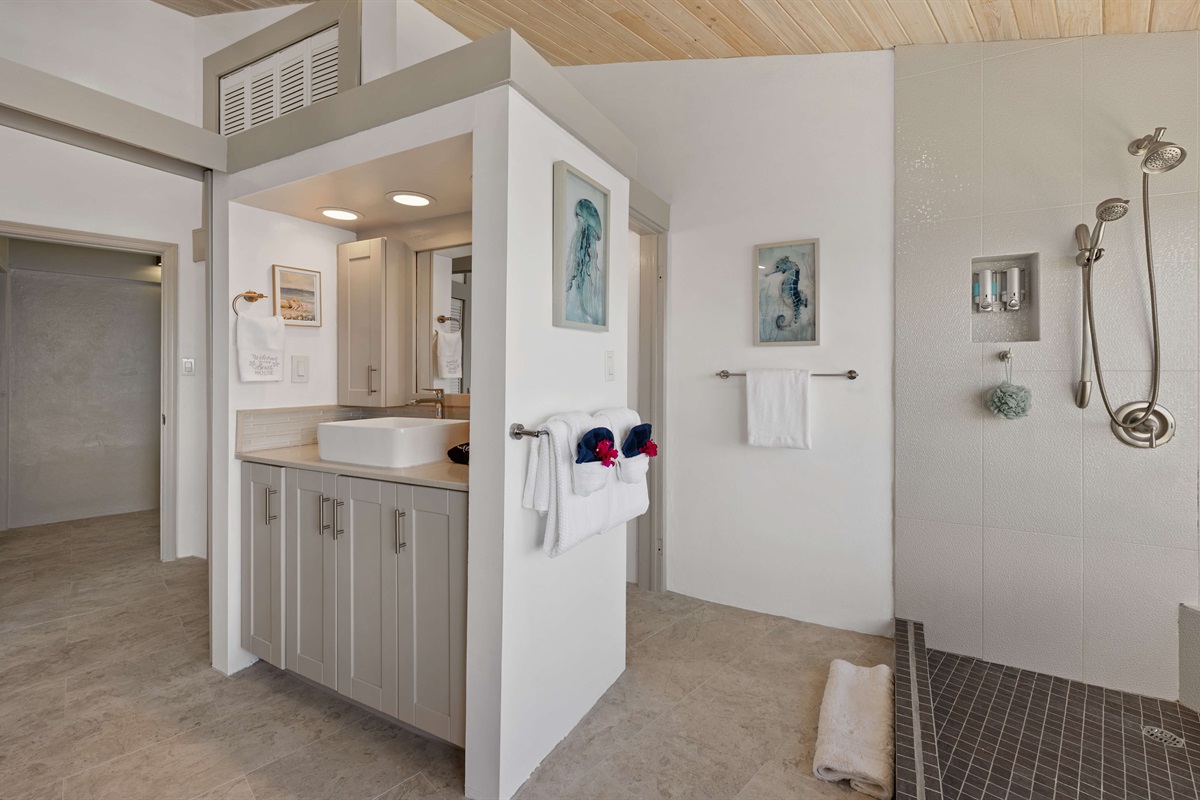 Primary ensuite bathroom with vanity, shower and toilet