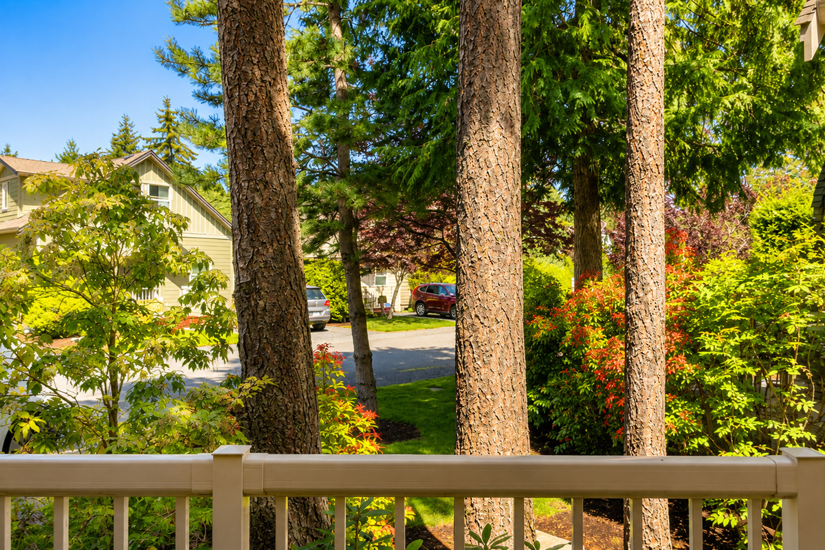 View from the front deck - quiet resort lane