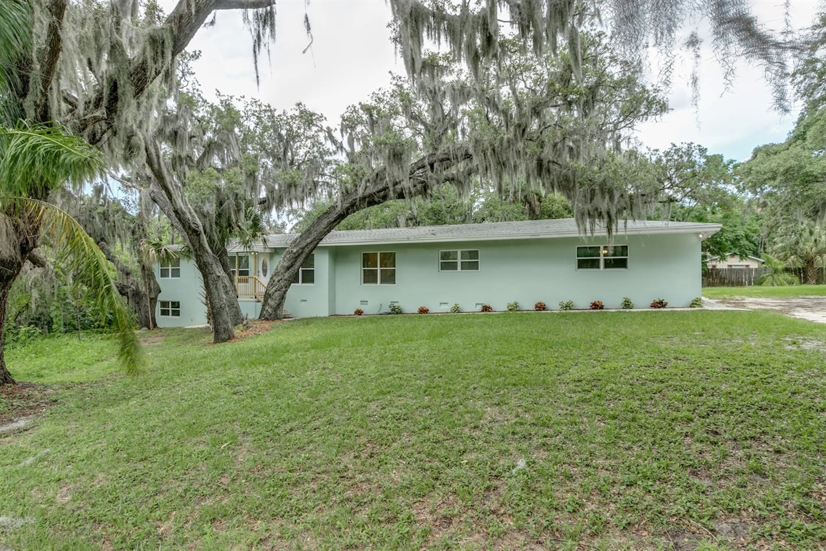 Front Yard with Old Oaks