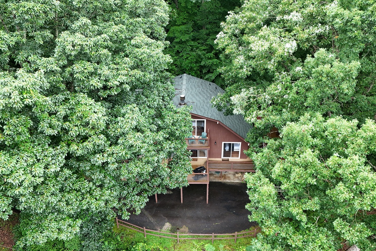 Exterior Retreat: Embrace nature in this charming mountain hideaway surrounded by lush greenery!
