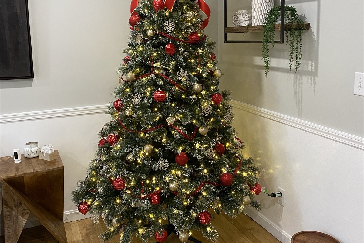 Christmas Tree - We have Menorahs available as well