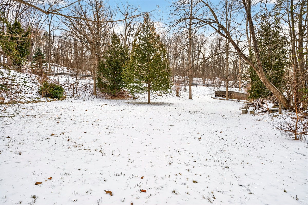 View of the back yard