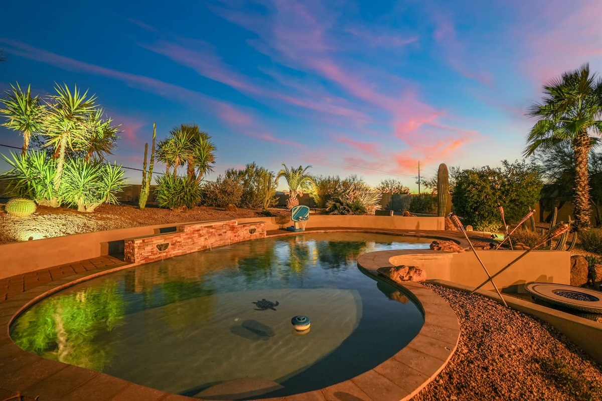 Twilight view highlighting the pool’s unique shape and surrounding palm trees.