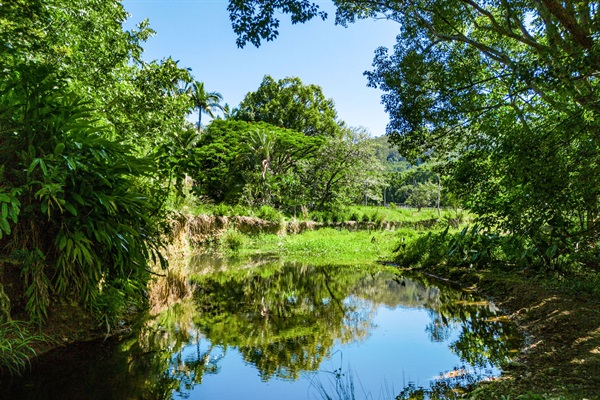 Your swimming spot